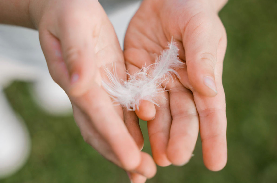 A pair of hands holding a white feather gently.